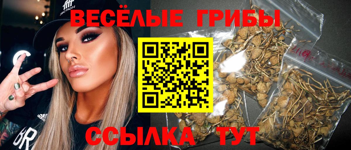 Нурлат  Псилоцибиновые грибы мицелий  Вход с VPN 