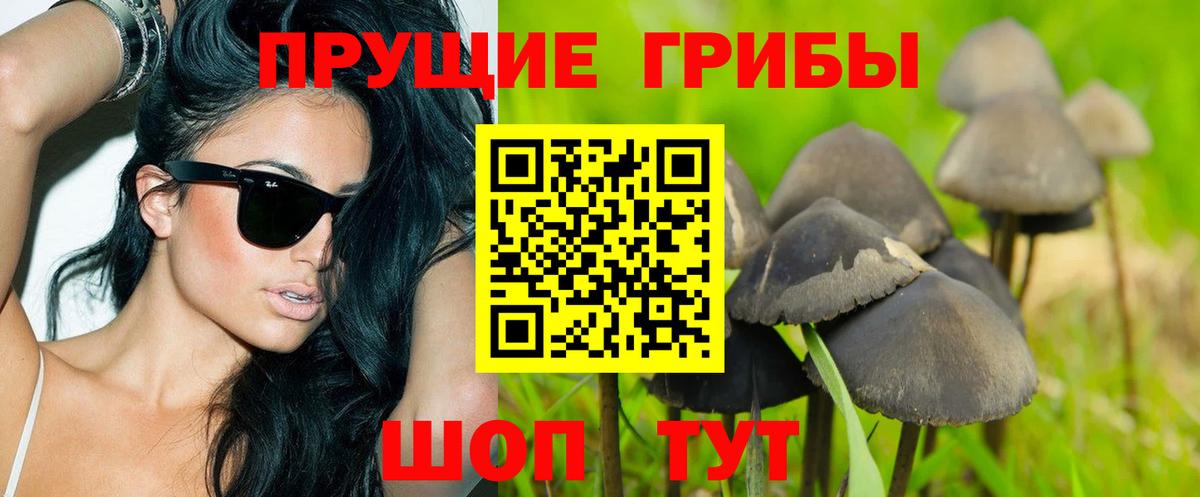 Галлюциногенные грибы мицелий Нурлат